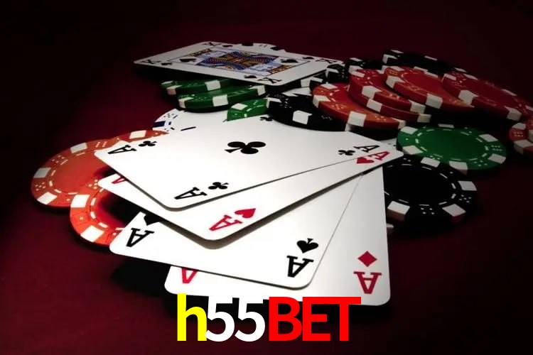 Casino VIP h55bet
